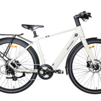 MS ENERGY c40