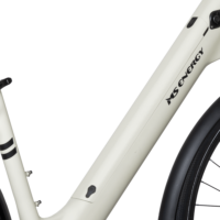 MS ENERGY eBike c30