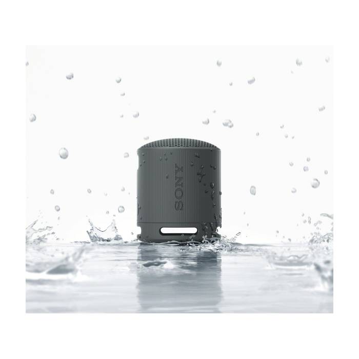 SONY zvučnik SRSXB100B.CE7 bežični