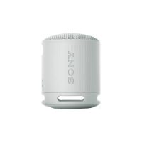 SONY zvučnik SRSXB100H.CE7 bežični sivi