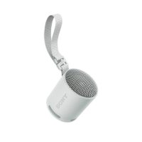 SONY zvučnik SRSXB100H.CE7 bežični sivi