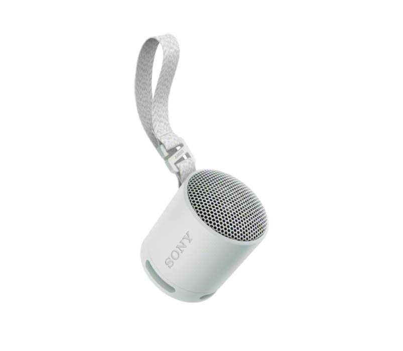 SONY zvučnik SRSXB100H.CE7 bežični sivi