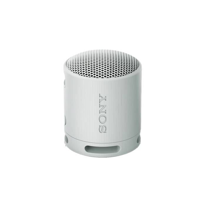 SONY zvučnik SRSXB100H.CE7 bežični sivi