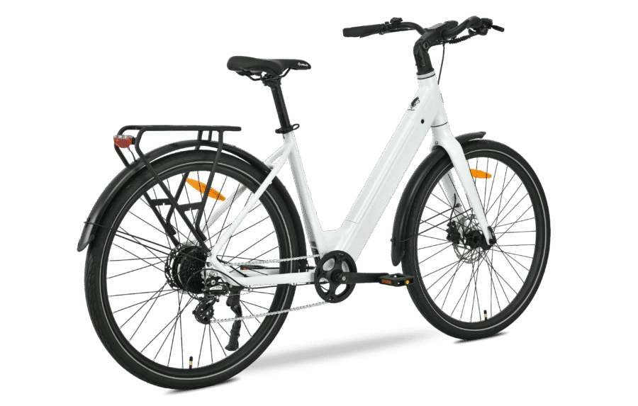 MS ENERGY eBike Zorya