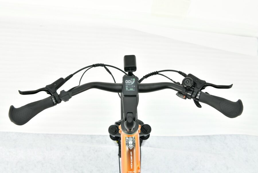 MS ENERGY eBike Mokosha Orange